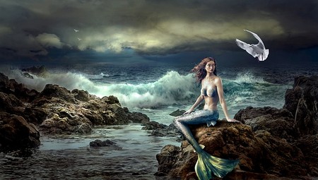 mermaid by the sea